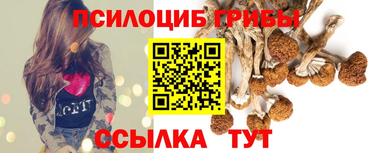 Псилоцибиновые грибы Psilocybe  Псилоцибиновые грибы Cubensis  Вход с VPN  Юрга 