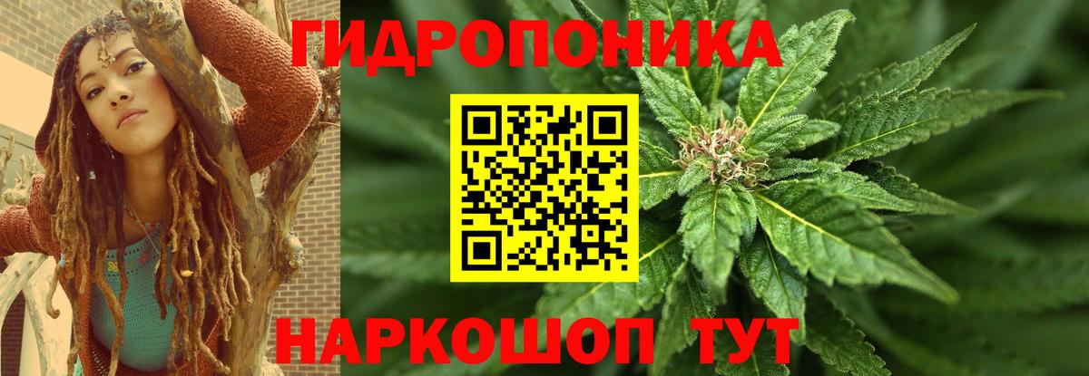 Бошки Шишки индика  Шишки марихуана AK-47  Вход с VPN  МАРИХУАНА THC 21%  Юрга  Марихуана LSD WEED 